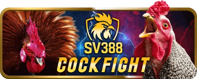 Hoàn trả cược 28win